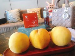 -上海崇明金茂凯悦酒店