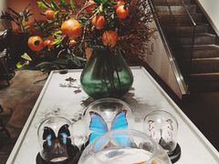 -小豆海棠(嘉兴路店)