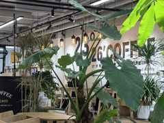 -2326 Coffee Roaster咖啡豆可选店(林肯公园店)