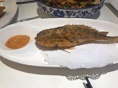 -金春禧(世茂国际广场店)