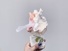 -柠檬车露(卖草地店)