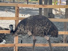 -水上乐园·欢乐世界