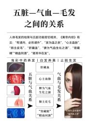 -诗碧曼养发