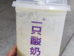 -一只酸奶牛(八一路店)