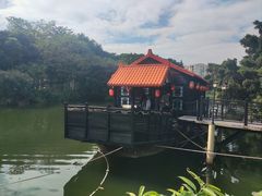 -侨美·唐荔园·40年地道粤菜