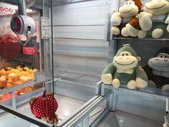 -PAWTOY爪e玩偶店(天兴罗斯福店)