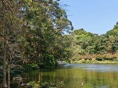 -深圳仙湖植物园