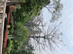 -南普陀寺