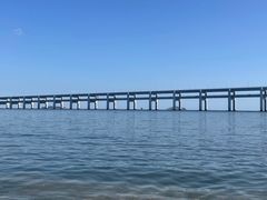-奕景酒家· 专注大连海鲜30年(星海广场店)