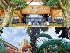 -杭州开元森泊度假乐园