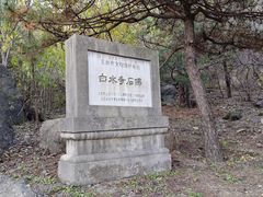 -白水寺森林公园