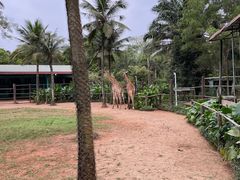 -海南热带野生动植物园