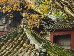 -报恩寺(平武县)