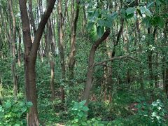 -同里国家湿地公园