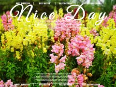 -上海滨江森林公园