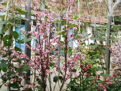 -姥家大锅台水库渔家