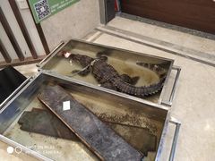 -陕西会客厅·宴会厅·唐世佳宴