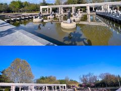 -石家庄市植物园