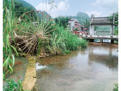 -靖西鹅泉风景区