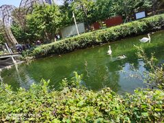 -长白岛森林公园