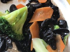 -素虎小呆鸟(西二旗店)