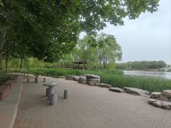 -大兴滨河森林公园