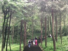 -青城山