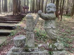 -武陵山森林公园
