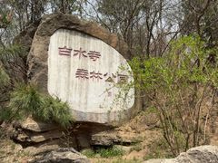 -白水寺森林公园