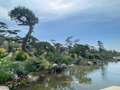 -罗红摄影艺术馆