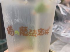 -猫的魔法密林(衣裳街店)
