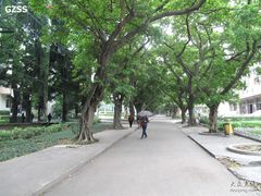 -中山大学学者灵芝(园南路店)