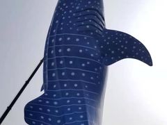 -珠海长隆海洋王国