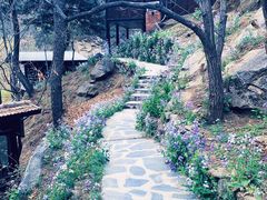 -北京水岸山吧度假村(雁栖镇店)