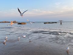 -老虎石海上公园