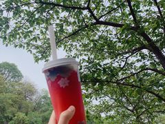 -鸡鸣赐茶(鸡鸣寺路店)