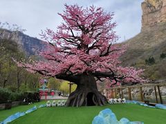 -河南宝泉旅游区