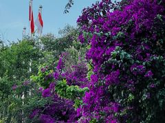 -昆明春城湖畔度假村