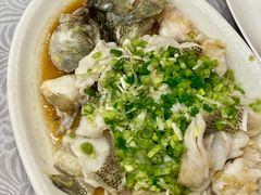 香葱淋鲈鱼-粤·向群饭店(龙津东路总店)