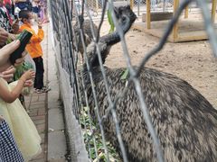 -长白岛森林公园