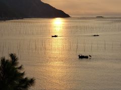 -北岐滩涂