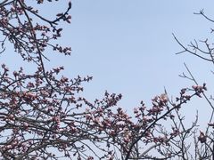 -北京凤凰岭