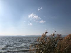 -捞渔河湿地公园