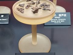 -河姆渡遗址博物馆