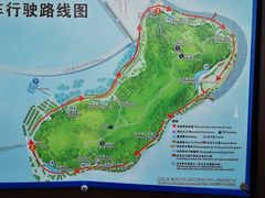 -野狸岛