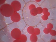 -天空花园餐吧·生日·团建(南山店)