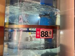 -蜀滋香鲜鱼美蛙火锅(339店)