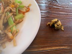 -琼海·狮椰美食楼