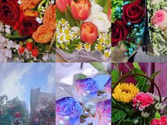 -循礼门鲜花花市(武汉循礼门店)