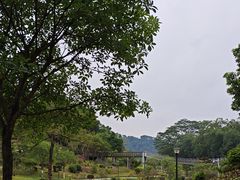-东莞植物园